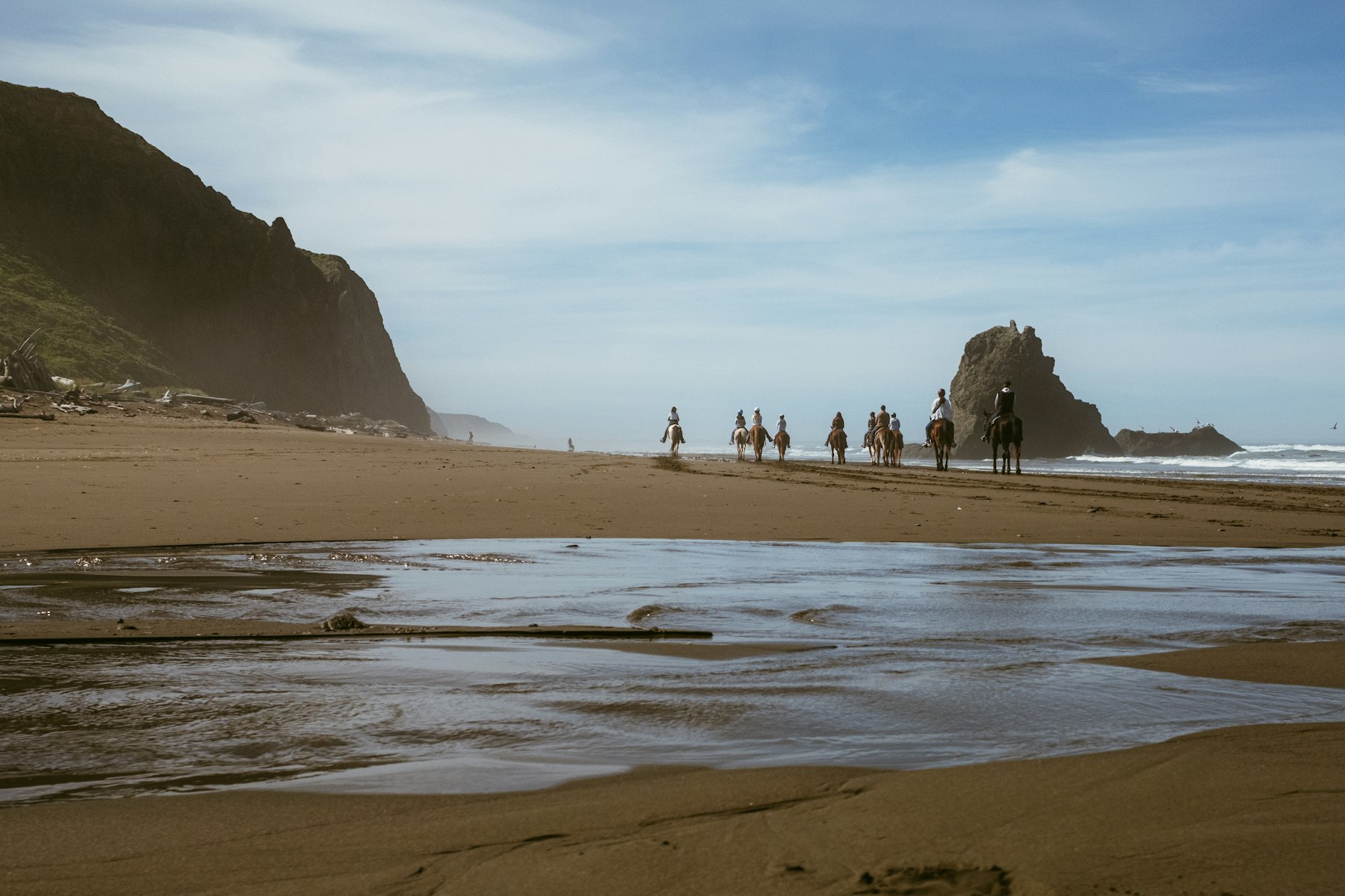 Guided horseback tour along the beach at sunrise